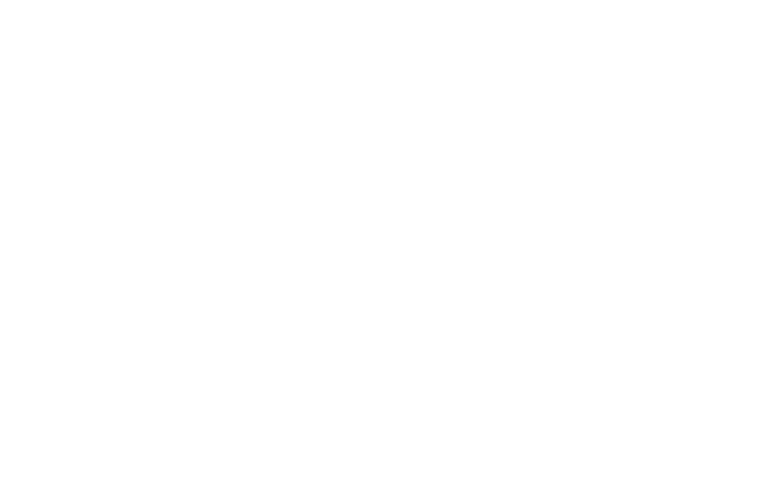logo voivobis